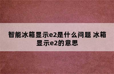 智能冰箱显示e2是什么问题 冰箱显示e2的意思